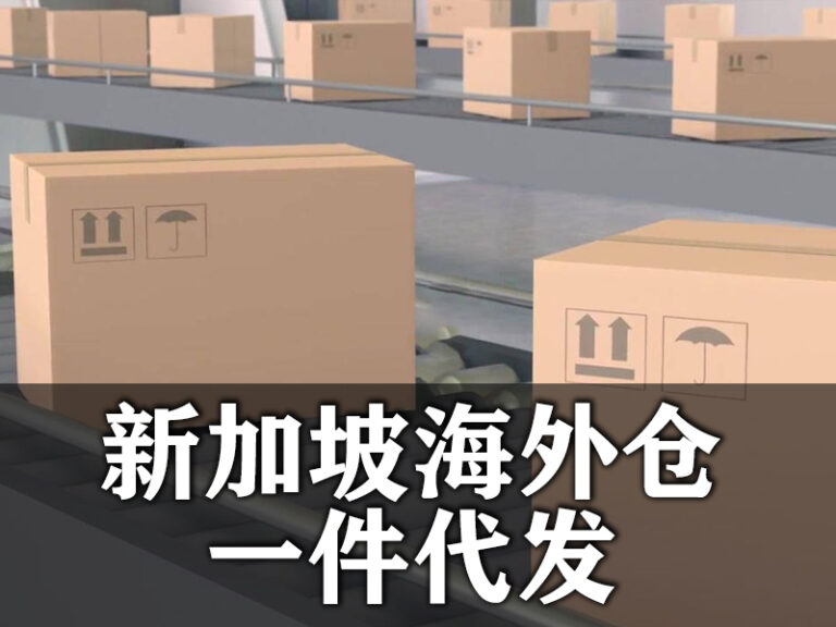 新加坡海外仓一件代发