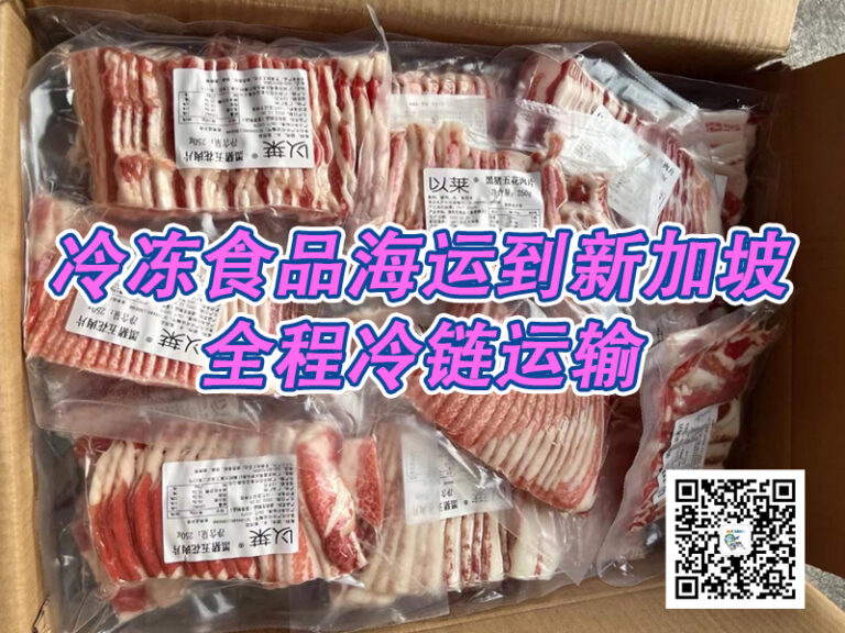 冷冻食品冷链拼箱到新加坡