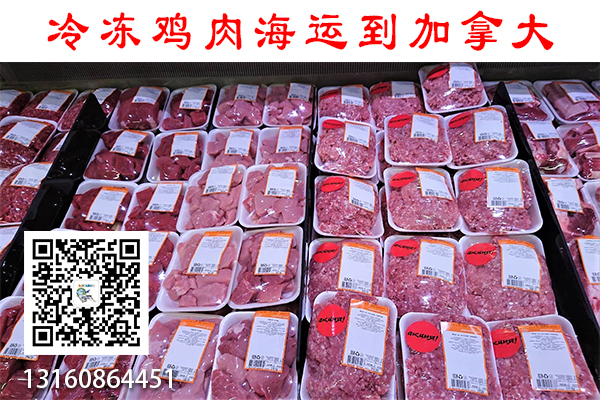 冷冻食品海运到加拿大