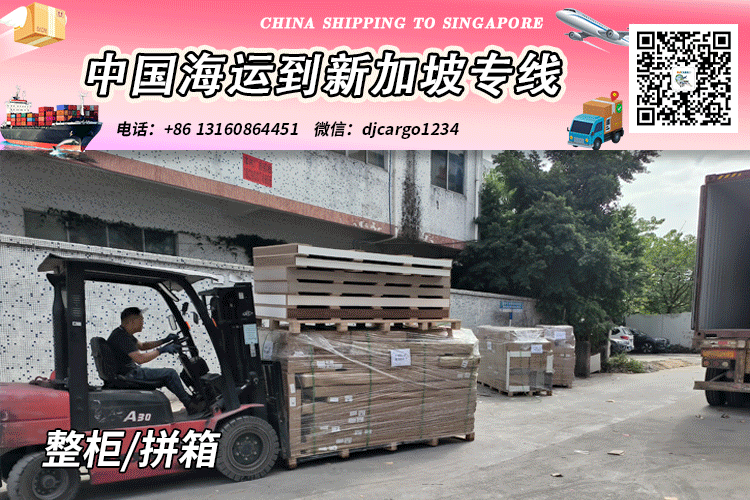 新加坡整柜
