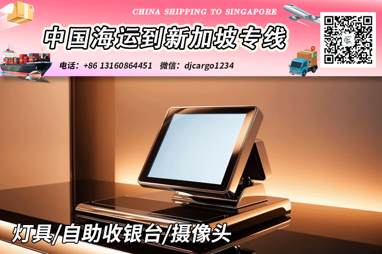 摄像头空运到新加坡