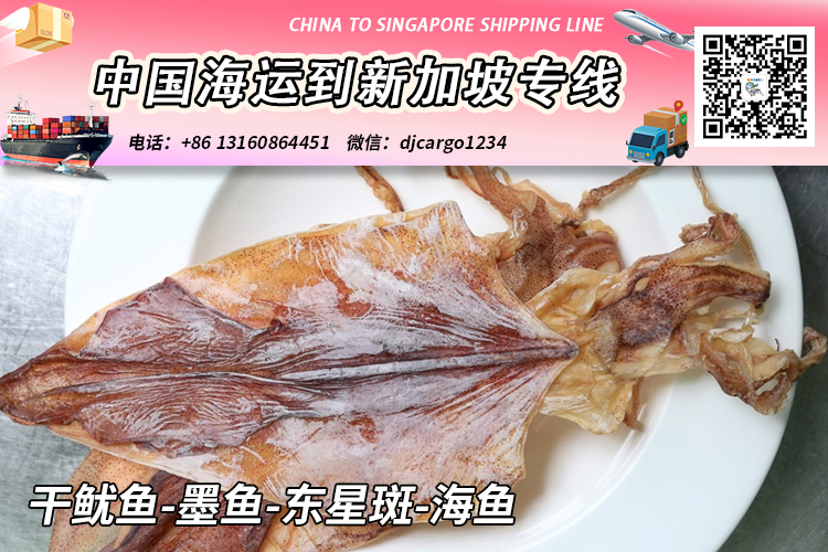干鱿鱼-墨鱼-东星斑-海鱼冷链整柜拼箱海运到新加坡