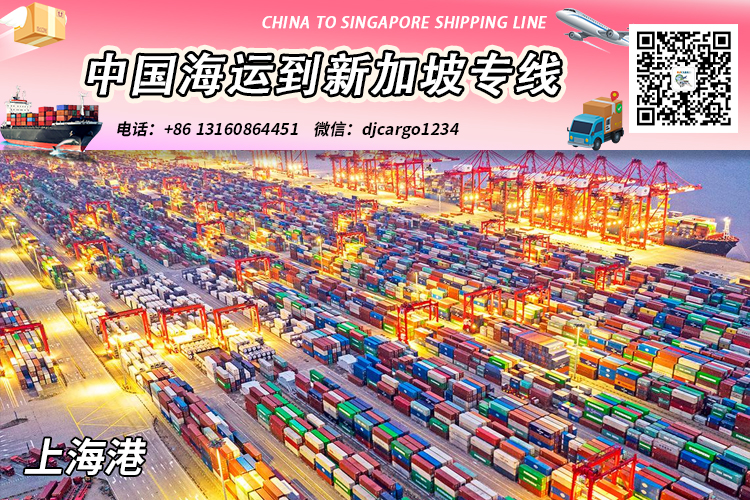 上海-天津-青岛海运整柜到新加坡双清关派送到门→小詹