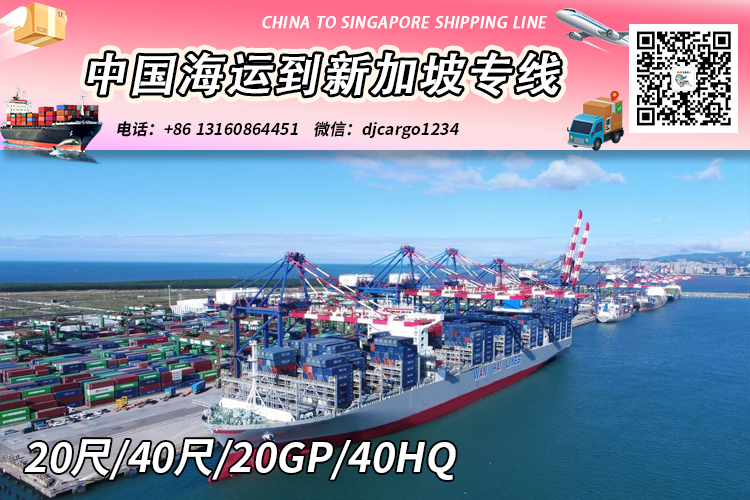 厦门-广州-深圳海运整柜到新加坡双清关派送到门→小詹