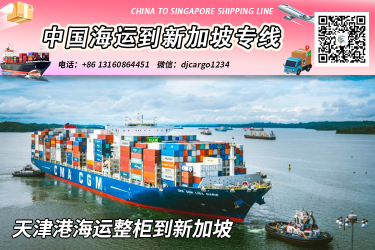 天津海运到新加坡-天津海运整柜到新加坡专线-递接物流