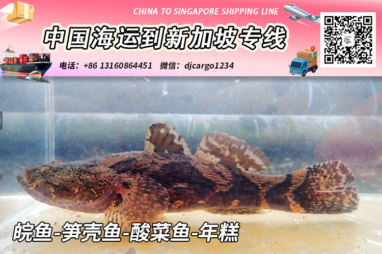 皖鱼-笋壳鱼-酸菜鱼-年糕冷链整柜拼箱海运到新加坡