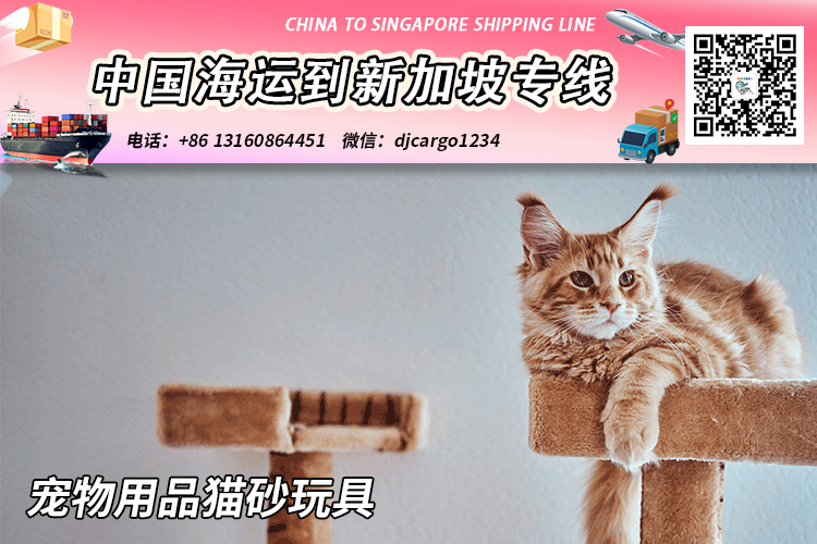 【精选】宠物用品猫砂玩具海运整柜拼箱到新加坡专线