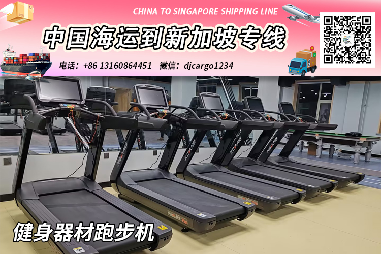 【精选】健身器材跑步机海运整柜拼箱到新加坡专线