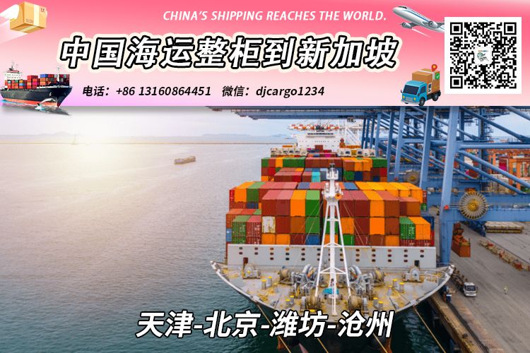 天津-北京-潍坊-沧州海运整柜到新加坡双清关派送到门 天津-北京-潍坊-沧州海运整柜到新加坡双清关派送到门
