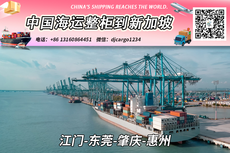 江门-东莞-肇庆-惠州海运整柜到新加坡双清关派送到门 江门-东莞-肇庆-惠州海运整柜到新加坡双清关派送到门