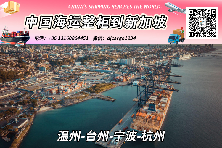 温州-台州-宁波-杭州海运整柜到新加坡双清关派送到门 温州-台州-宁波-杭州海运整柜到新加坡双清关派送到门