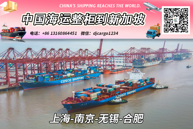 上海-南京-无锡-合肥海运整柜到新加坡双清关派送到门