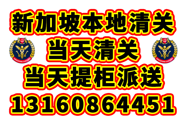 【秒清】中国海运整柜到新加坡清关提柜派送一条龙服务