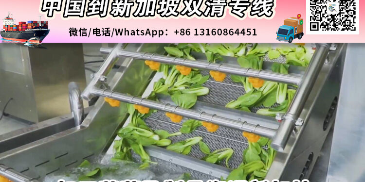 中国加工蔬菜及制品海运到新加坡需要哪些清关要求和资料文件